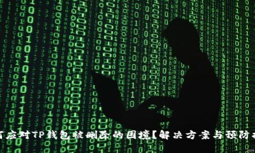 如何应对TP钱包被删除的困境？解决方案与预防措施