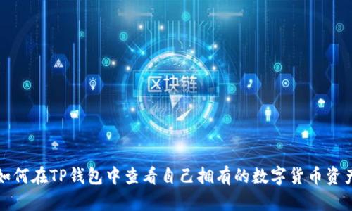如何在TP钱包中查看自己拥有的数字货币资产