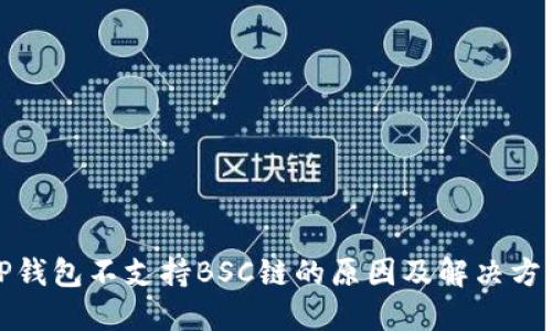 TP钱包不支持BSC链的原因及解决方案