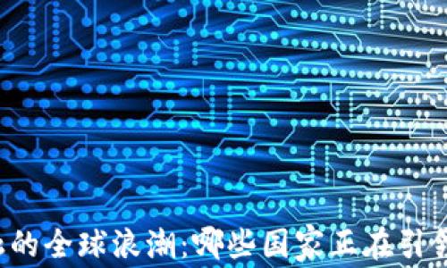 
区块链金融的全球浪潮：哪些国家正在引领这一革命？