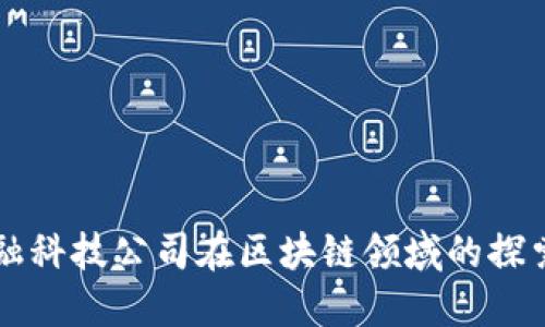 上海金融科技公司在区块链领域的探索与创新