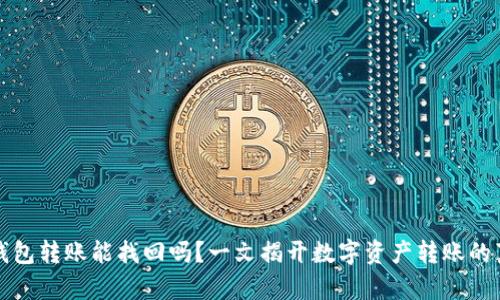 TP钱包转账能找回吗？一文揭开数字资产转账的真相