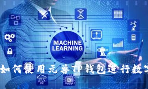 全面解析：如何使用元兽TP钱包进行数字资产管理