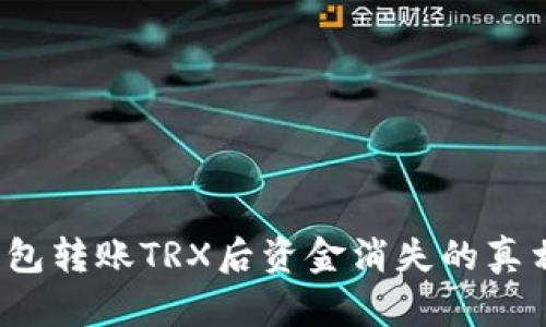  TP钱包转账TRX后资金消失的真相揭秘